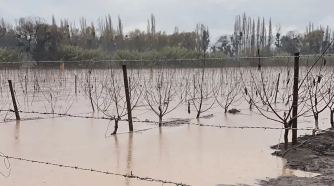 lluvias causan Inundación predio agrícola