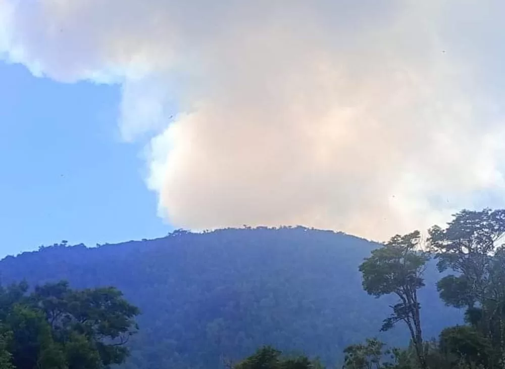 Senapred ordeno evacuación urgente en cuatro sectores de la comuna de Navidad por Incendio Forestal